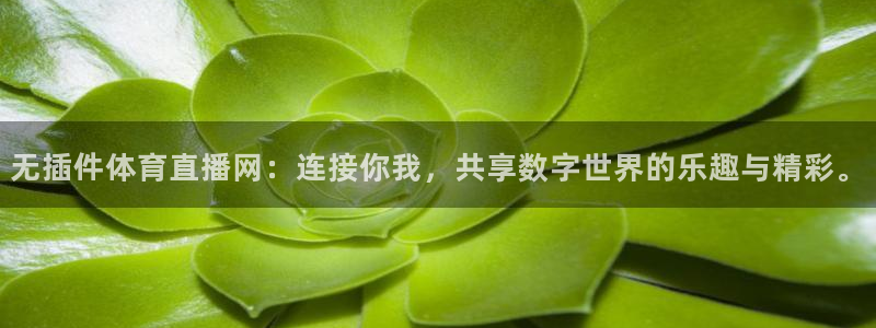无插件体育直播网：连接你我，共享数字世界的乐趣与精彩。