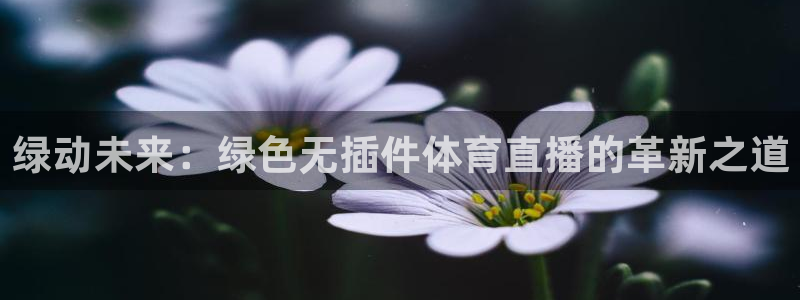 绿动未来：绿色无插件体育直播的革新之道