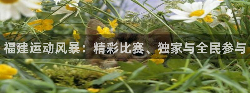 福建运动风暴：精彩比赛、独家与全民参与