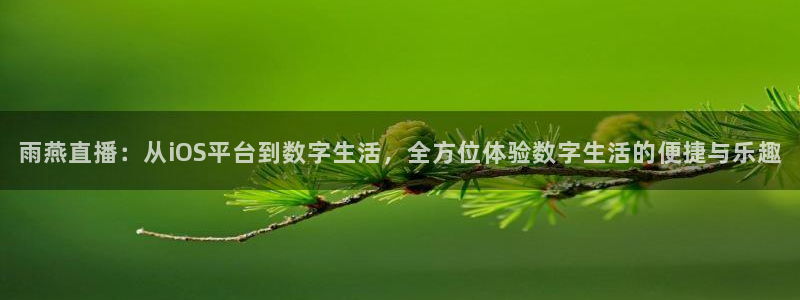 新闻图片